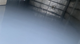 Photo Jan 12, 4 45 43 PM