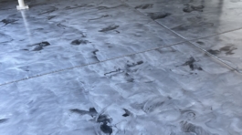 Photo Sep 13, 9 19 06 AM